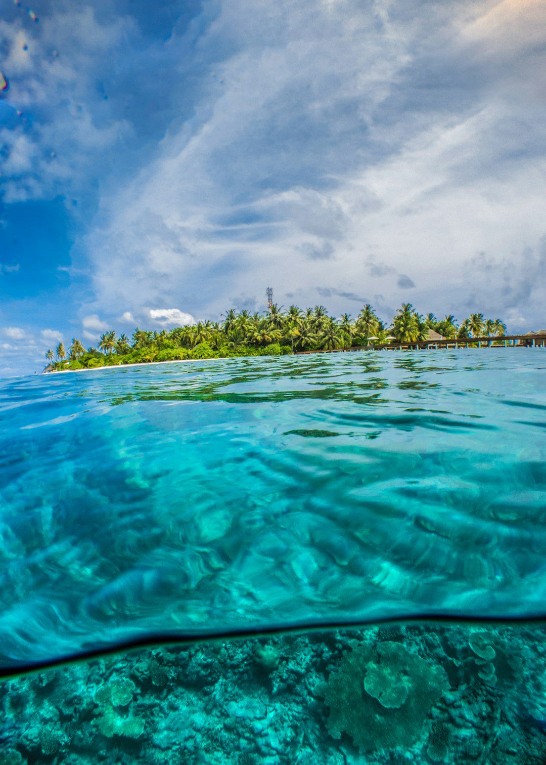 Photo by Sebastian Pena Lambarri green-leafed trees surrounded by body of water during daytime